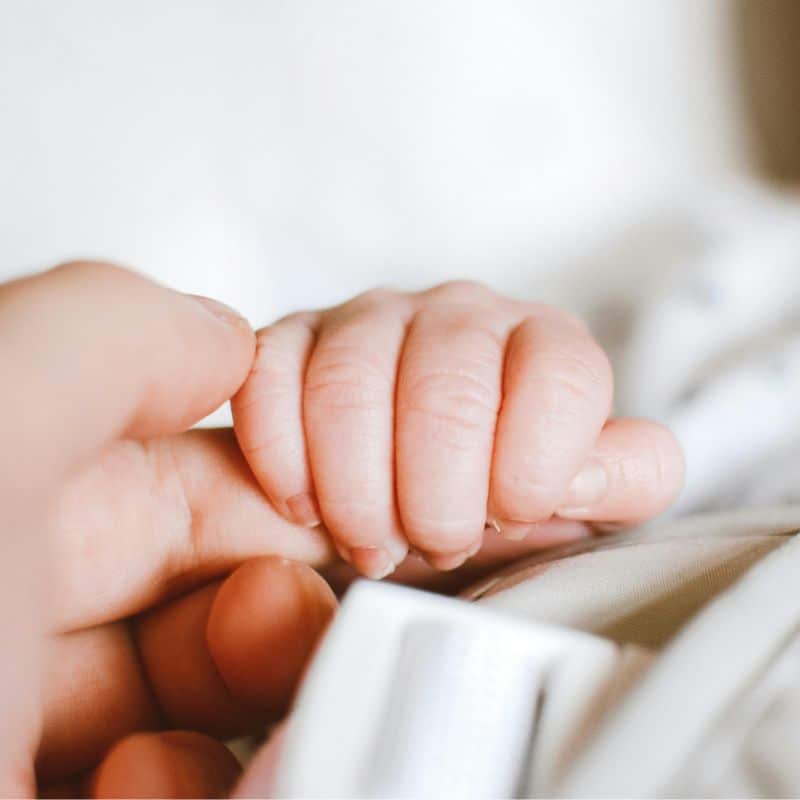 Test Prenatal No Invasivo (TPNI) - VIVO PRENATAL MAX