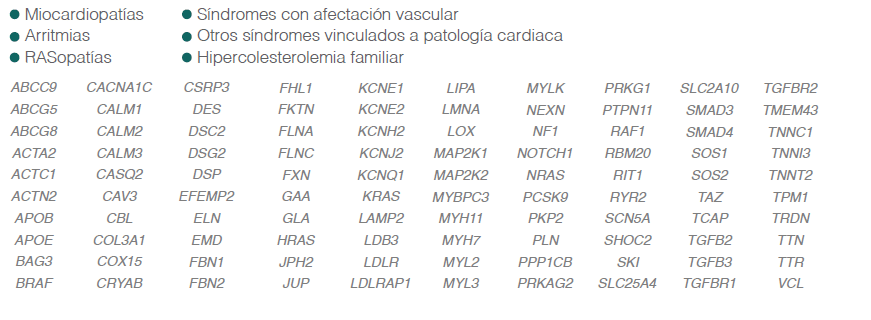 Genes incluidos relacionados con enfermedades cardiovasculares en mygeneticrisk.