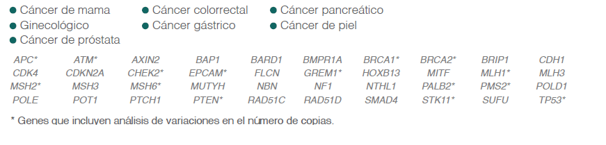 Genes relacionados con el cáncer incluidos en este estudio.
