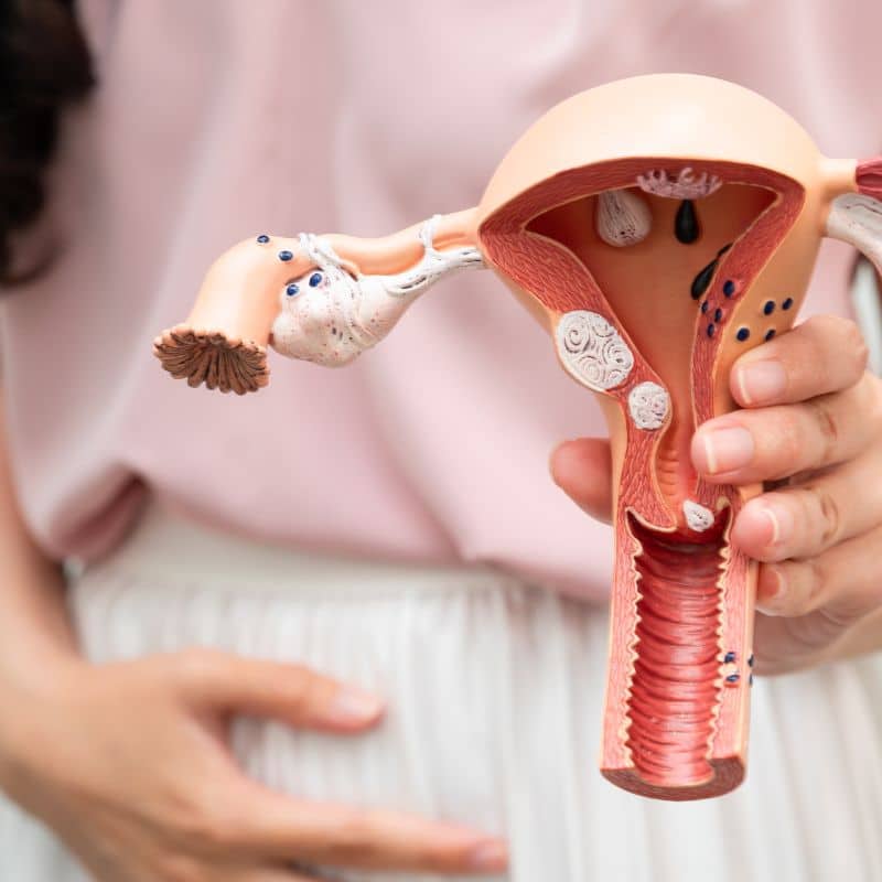 Ginecología en MIDIAGNOSTICO, al mejor precio.