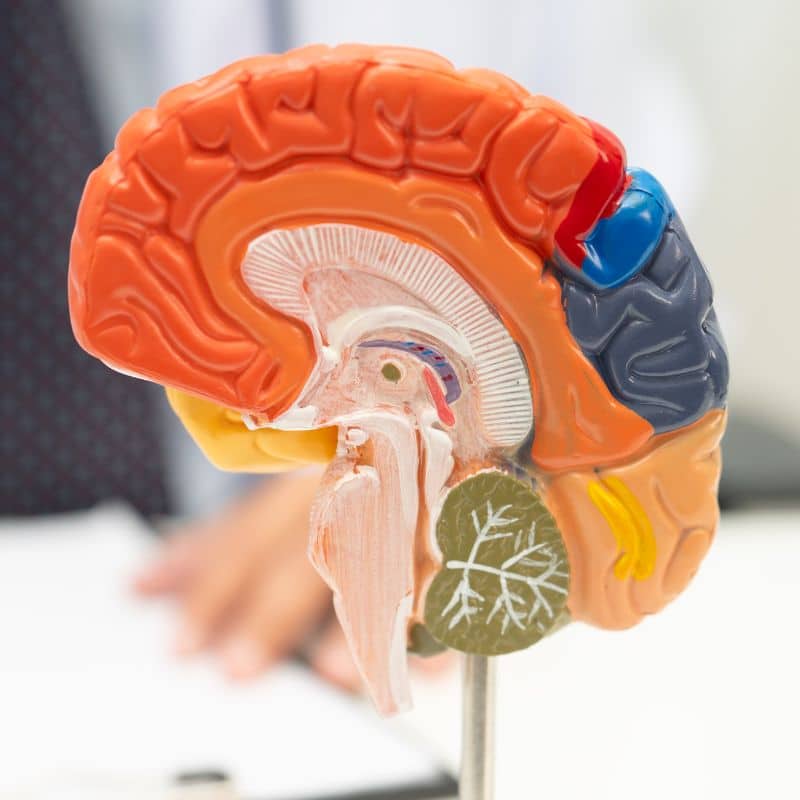 Resonancia de cerebro en Madrid, al mejor precio.