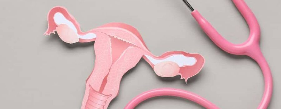 Comprar consulta de ginecología, en VIVO Los Remedios.