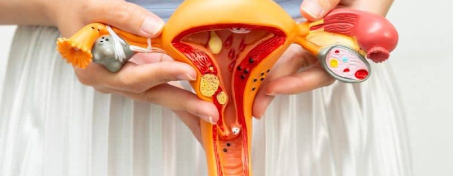 Resonancia magnética de pelvis ginecológica y masculina, en GRUPO VIVO.